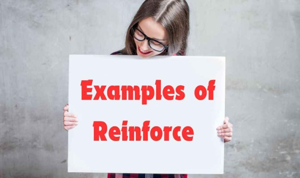  Examples of “reinforce"