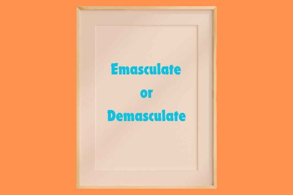 Emasculate or Demasculate: Which Term Packs More Power?