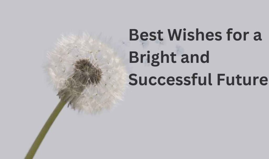 Best Wishes for a Bright and Successful Future: